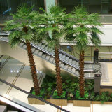 5meters Artificial Big Tree, Landscaping Tree, Palm Tree, Date Palm Tree, Plastic Tree (P004`)